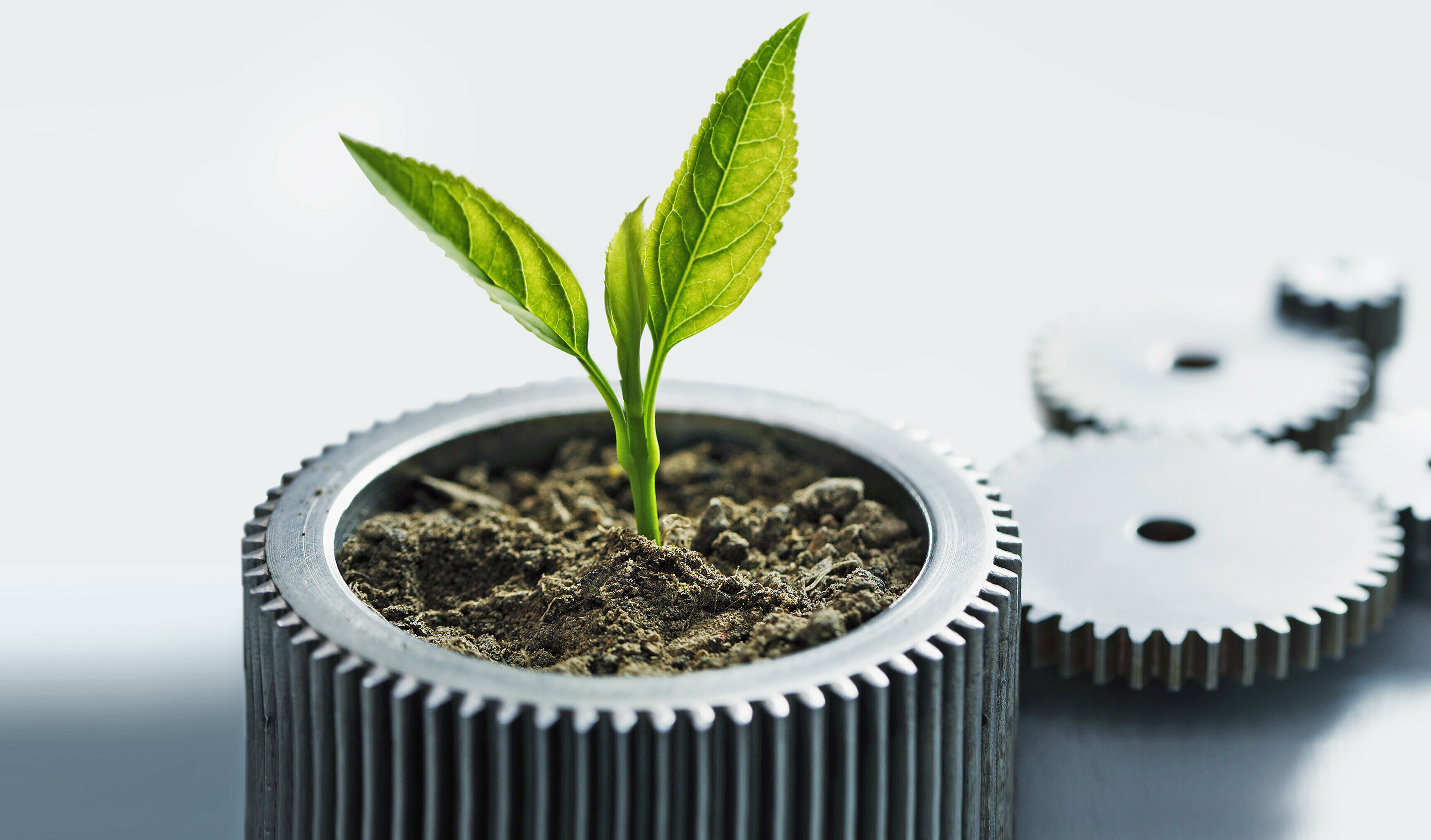 À partir d'un engrenage en métal pousse une plante verte